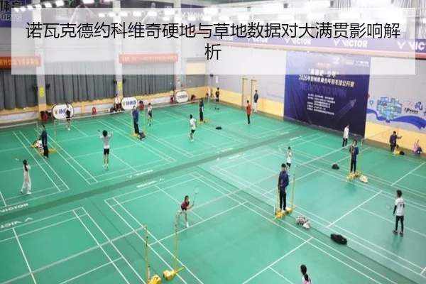 诺瓦克德约科维奇硬地与草地数据对大满贯影响解析