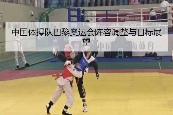 中国体操队巴黎奥运会阵容调整与目标展望